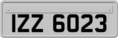 IZZ6023