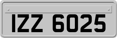 IZZ6025