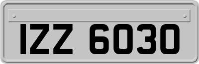 IZZ6030