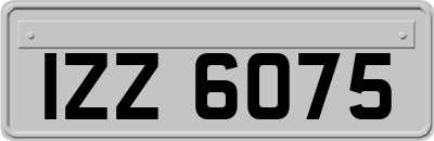 IZZ6075