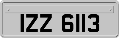 IZZ6113