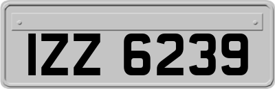 IZZ6239