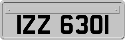 IZZ6301