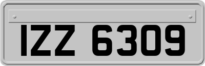 IZZ6309