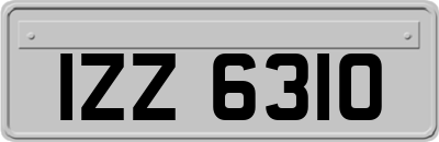 IZZ6310