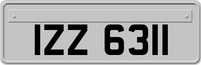 IZZ6311