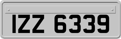 IZZ6339