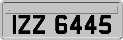 IZZ6445