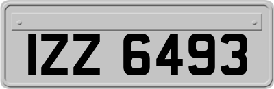 IZZ6493