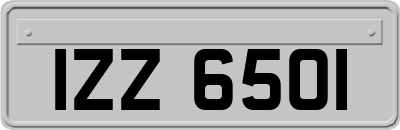 IZZ6501