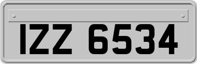 IZZ6534