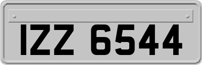 IZZ6544