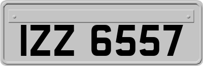 IZZ6557