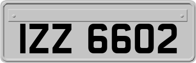 IZZ6602
