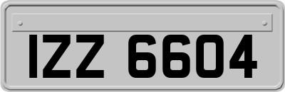 IZZ6604