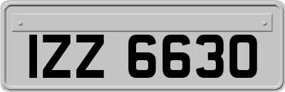 IZZ6630