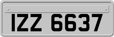 IZZ6637