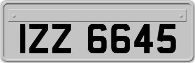 IZZ6645