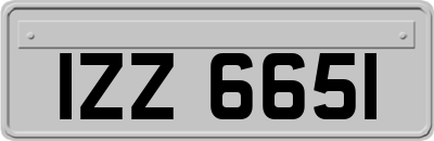 IZZ6651