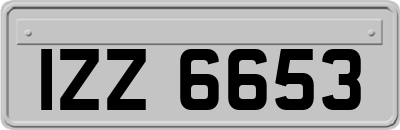 IZZ6653