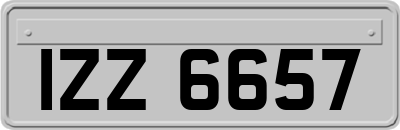 IZZ6657