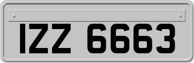 IZZ6663