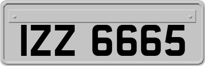 IZZ6665