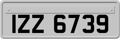 IZZ6739