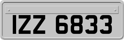 IZZ6833