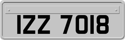 IZZ7018