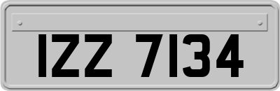 IZZ7134