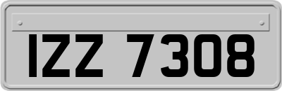 IZZ7308