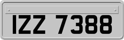 IZZ7388
