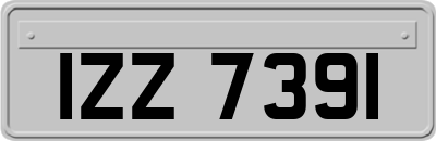 IZZ7391