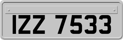 IZZ7533