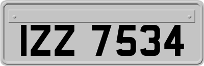 IZZ7534