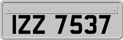 IZZ7537