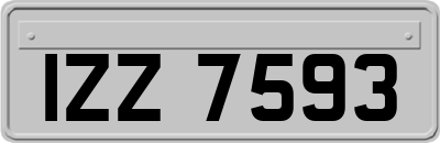 IZZ7593