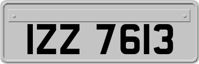 IZZ7613