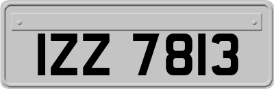 IZZ7813