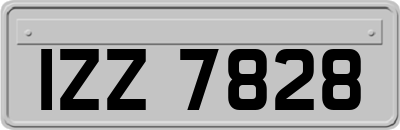 IZZ7828