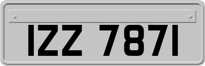 IZZ7871