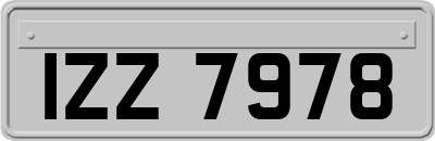 IZZ7978