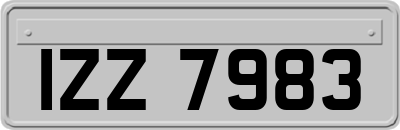 IZZ7983
