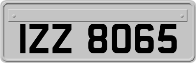 IZZ8065