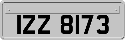 IZZ8173