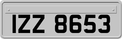 IZZ8653