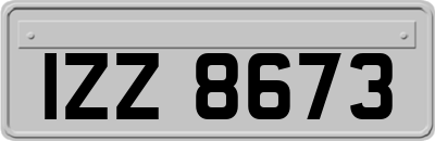 IZZ8673