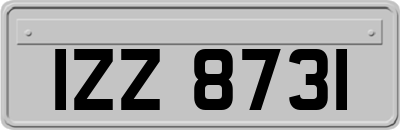 IZZ8731