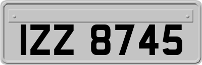 IZZ8745